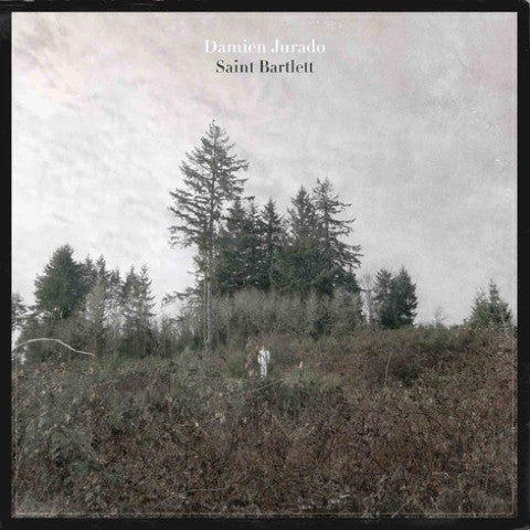 Damien Jurado "Saint Bartlett" CD