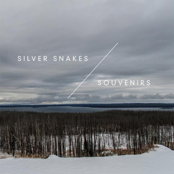 Silver Snakes / Souvenirs "Split" 7"