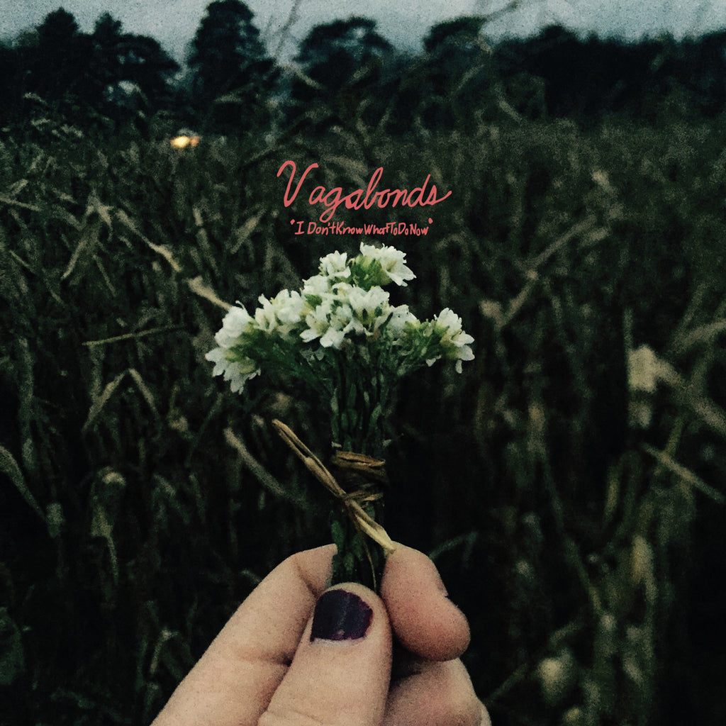 Vagabonds "I Don't Know What To Do Now" CD